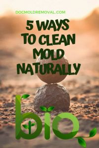 5 ways to clean mold naturally