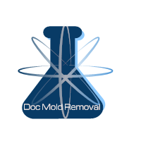 mold removal service near me